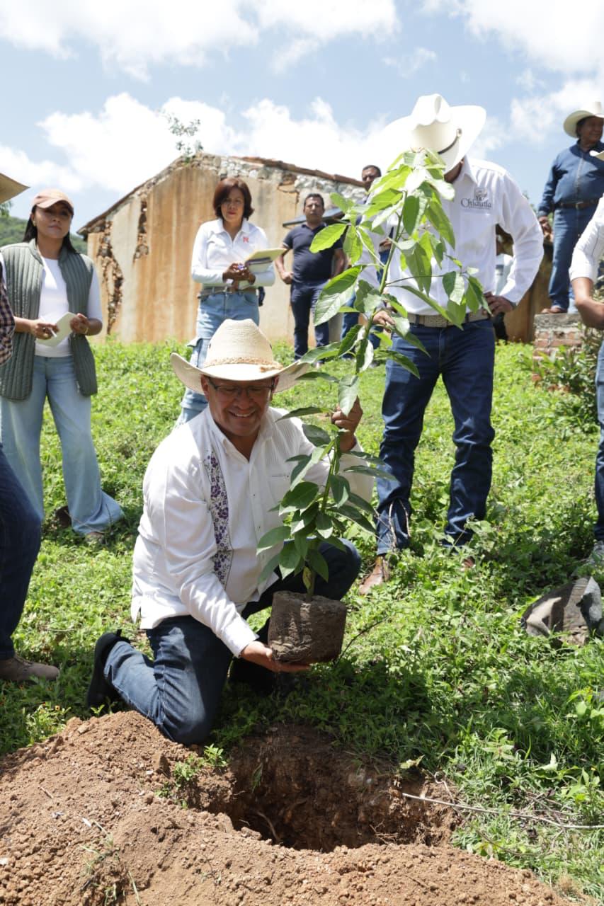Promueve diputado Pável Gaspar acciones de obra comunitaria para fortalecer el desarrollo de la Mixteca poblana