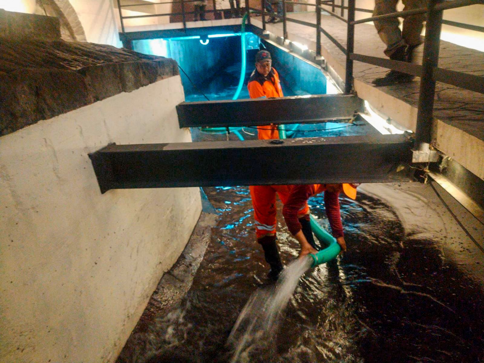 Gobierno de Pepe Chedraui efectuó labores de lavado en el Puente de Bubas