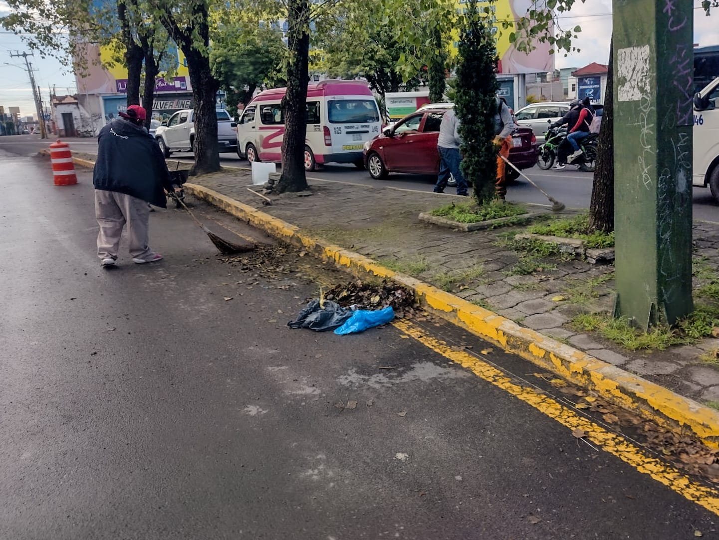 Interviene gobierno de Pepe Chedraui más de 16 millones de metros cuadrados de camellones