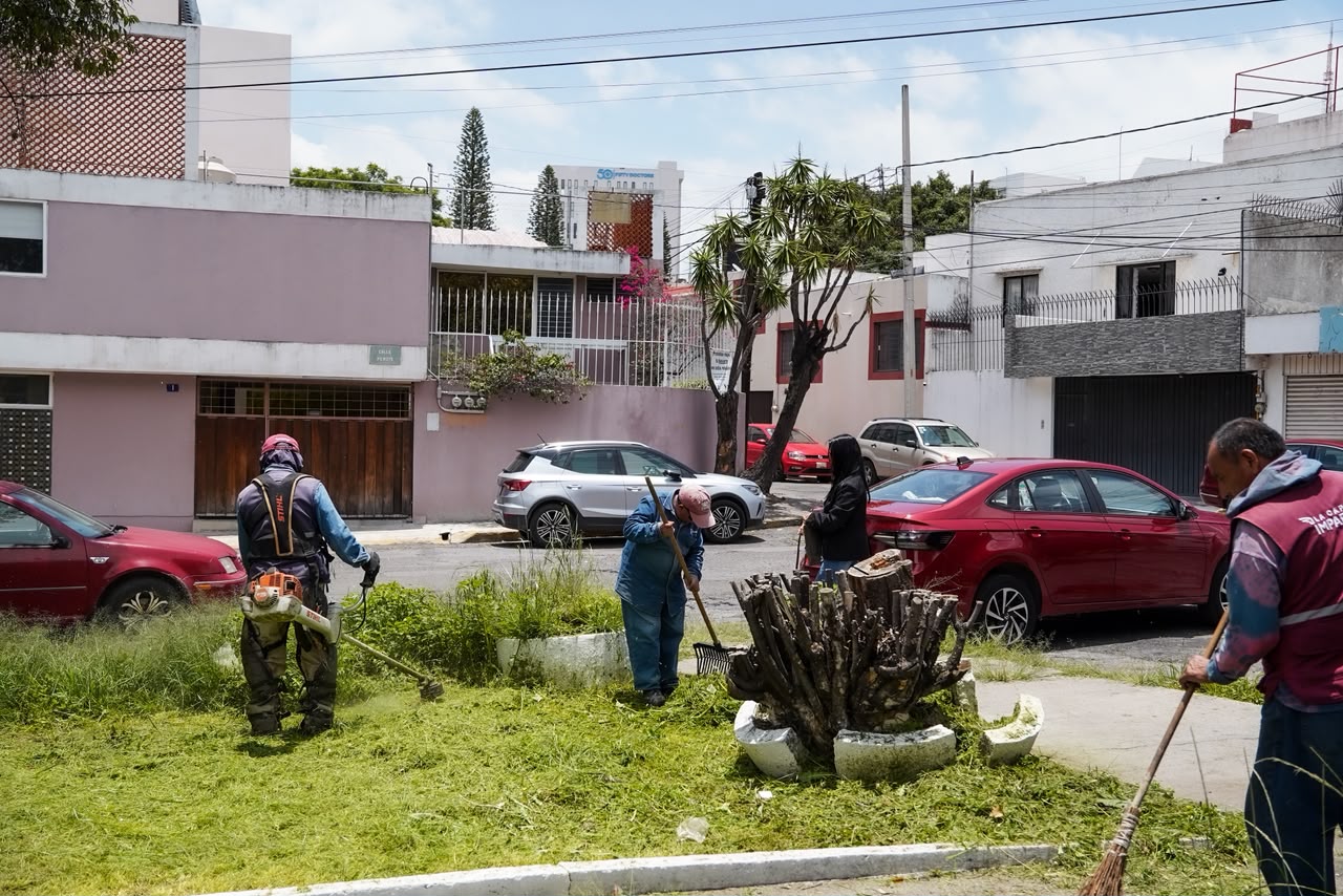 Fortalece Gobierno de Pepe Chedraui mantenimiento del Parque Rómulo O’Farril