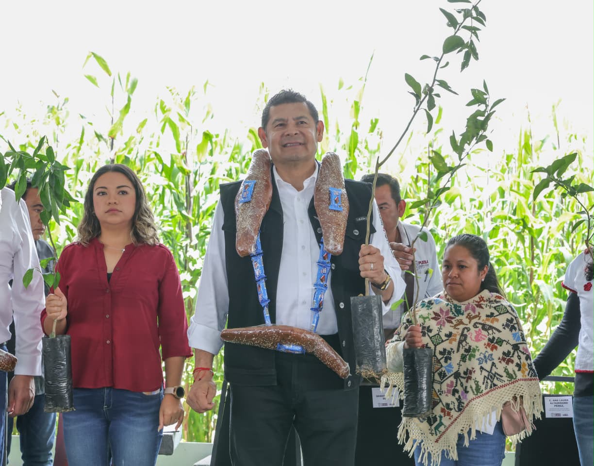 Gobierno Estatal acelera la revolución del campo con apoyos, maquinaria y obra comunitaria