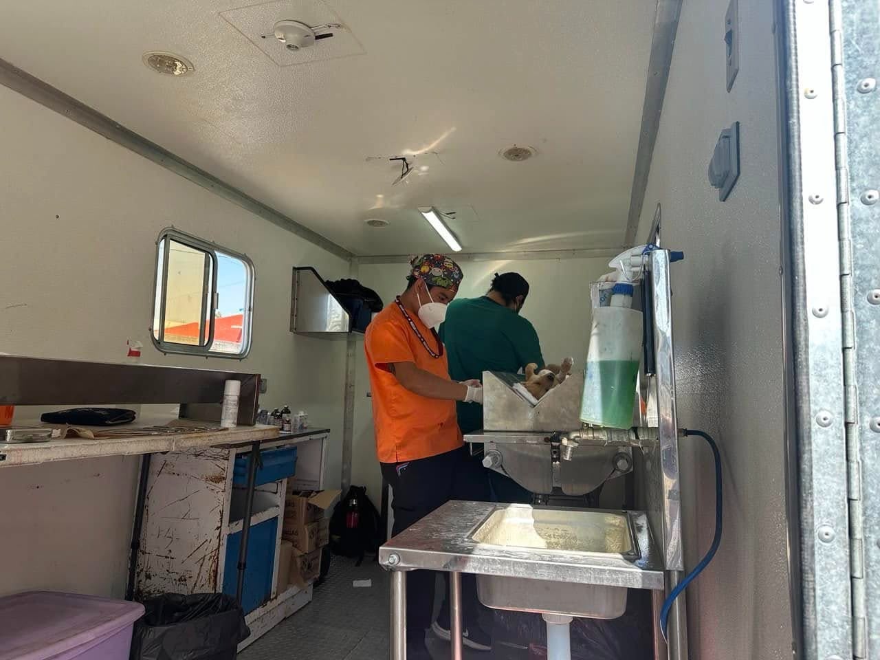 Pepe Chedraui fortalece el bienestar animal con más de 18 mil esterilizaciones gratuitas en Puebla