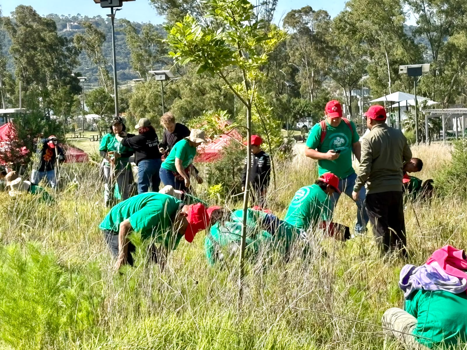 Impulsa Gobierno de Pepe Chedraui restauración del Cerro de Amalucan con “Raíces del Futuro”