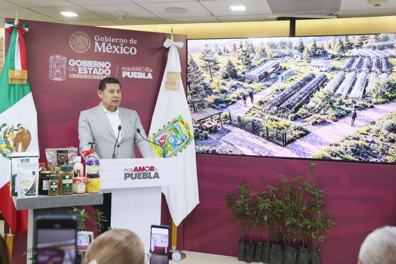 Rescate del Izta-Popo impulsa reforestación nacional con apoyo de la presidenta Sheinbaum