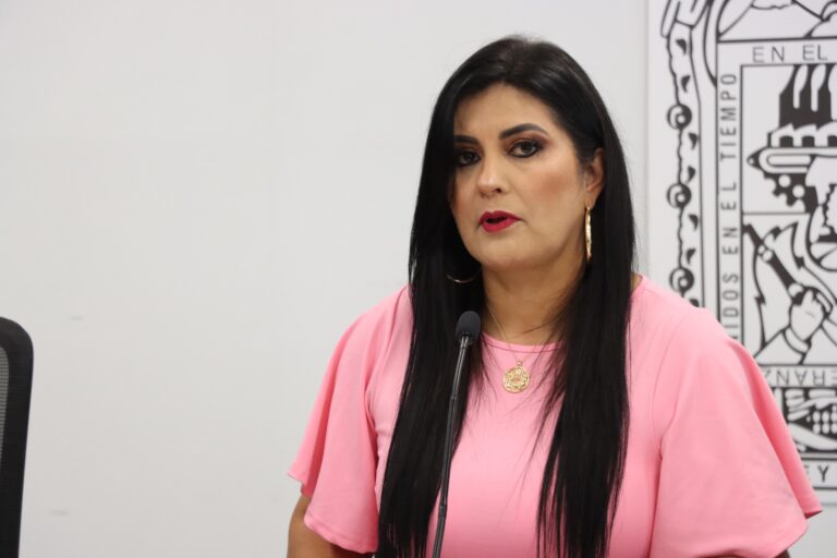 Propone diputada Delfina Pozos reforma al Código de Ética sobre comunicación digital