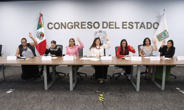 Avala Comisión del Congreso reformas a la Ley para el Acceso de las Mujeres a una Vida Libre de Violencia sobre órdenes de protección