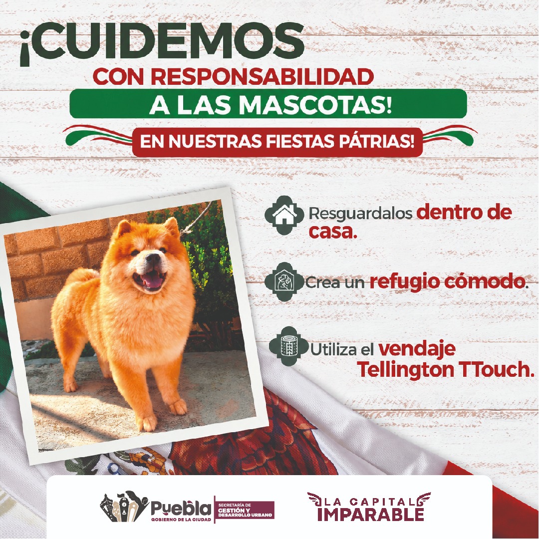 Gobierno de Pepe Chedraui refuerza medidas preventivas durante las Fiestas Patrias; exhorta a evitar el uso de pirotecnia