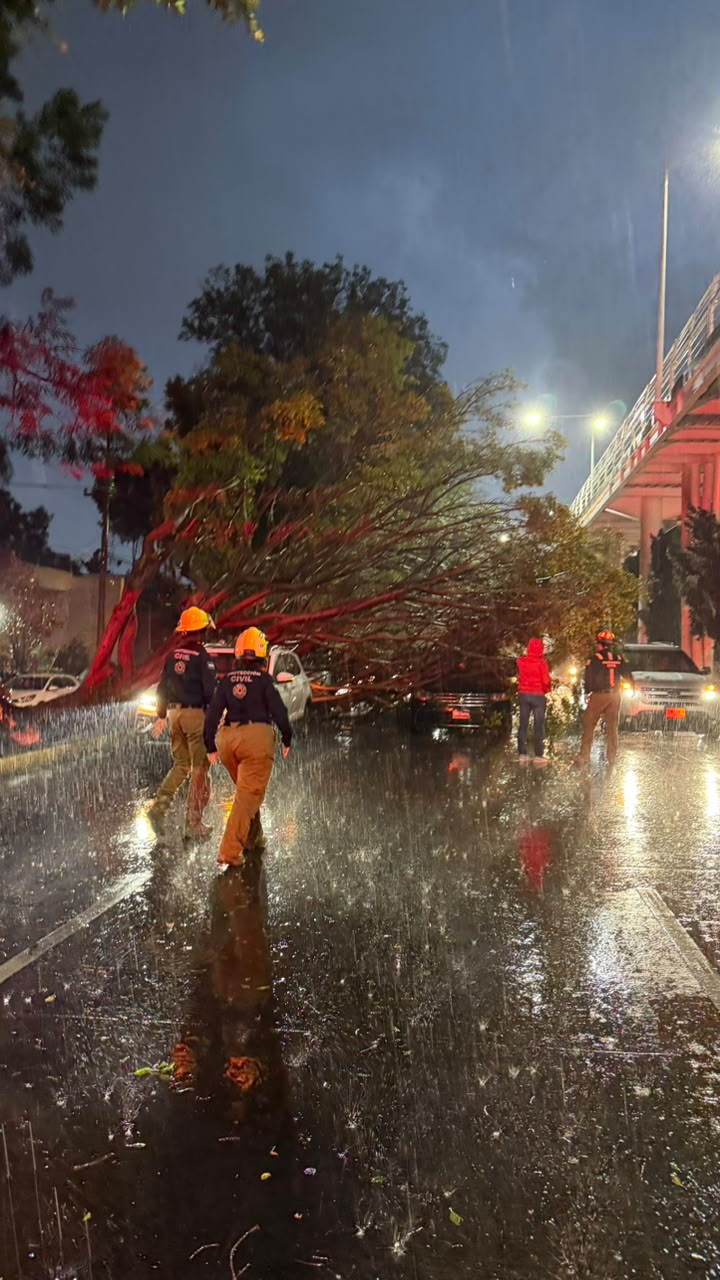 Desplega Gobierno de Pepe Chedraui acciones y atención inmediata a reportes por lluvias