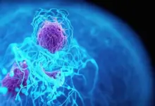 El cáncer entre los menores de 50 años aumenta un 79% en tres décadas: un problema «real, selectivo y muy heterogéneo»