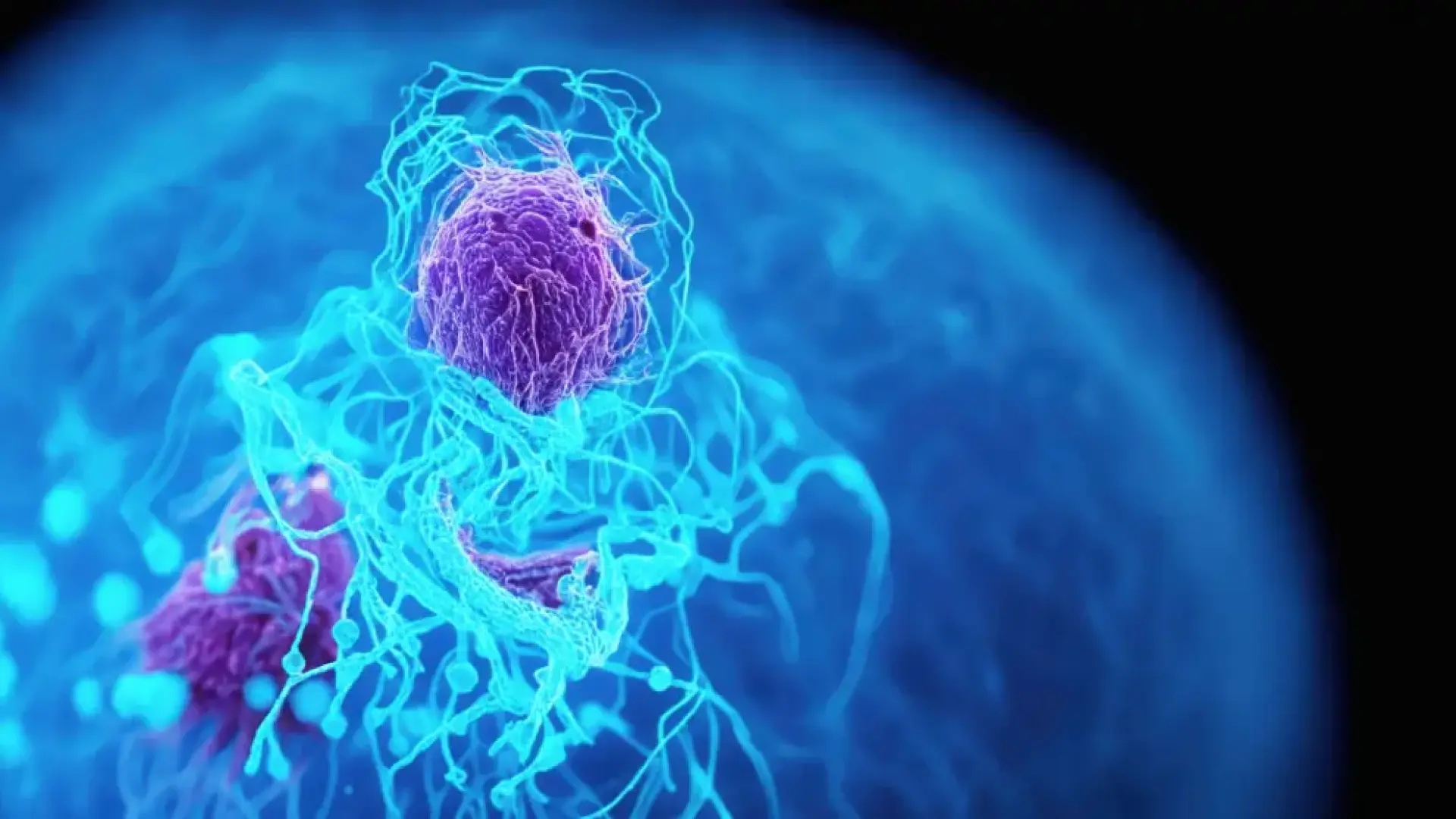 El cáncer entre los menores de 50 años aumenta un 79% en tres décadas: un problema "real, selectivo y muy heterogéneo"
