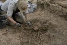 ¿Por qué enterraron a un hombre hace 5.000 años con un collar de 42 dientes? El hallazgo que desconcierta a los arqueólogos