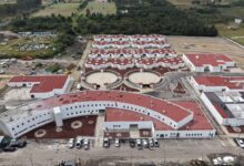 Gobierno estatal alcanza 88 por ciento de avance en célula de bienestar animal