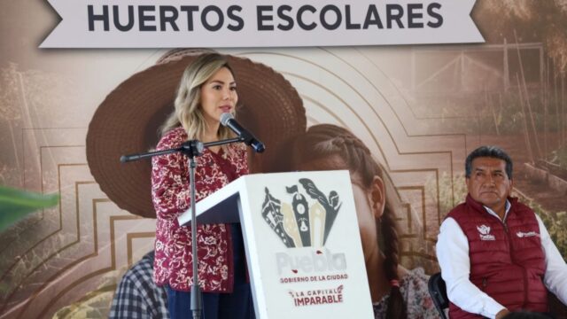 Gobierno de Pepe Chedraui impulsa educación ambiental con 120 huertos escolares y nuevos santuarios de polinizadores