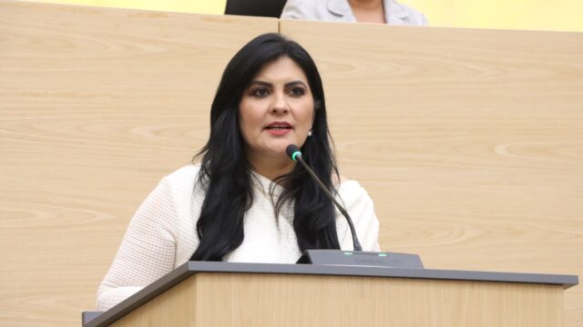 Diputada Delfina Pozos propone reforzar la supervisión de deshuesaderos y yonkes en Puebla