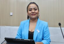 Diputada Celia Bonaga subraya aprobación de acuerdos en materia de salud, inclusión y bienestar social