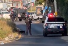 Encuentran cuerpo junto a Laguna de Chapulco, en Periférico Ecológico