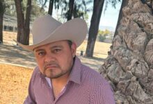 Red de halcones y presunta protección oficial dificultan captura de El Toñín
